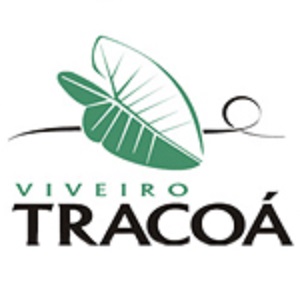 VIVEIRO TRACOÁ