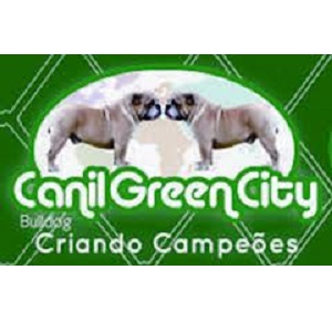 Canil Green City - criação e venda de cães bulldog