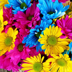 Mercado das Flores - Floriculturas e Arranjos no Centro - RJ