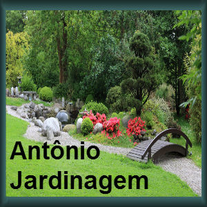 Antônio Jardinagem