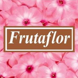Floricultura Frutaflor