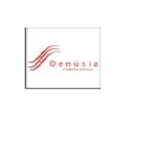 Denúsia - Salão de Beleza, Cabeleireira, Escova, Chapa.