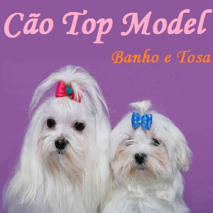 CÃO TOP MODEL Pet Shop Banho e Tosa