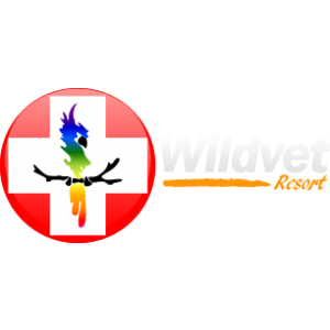 Wild Vet Clinica Veterinaria Animais Exoticos Vila Olimpia