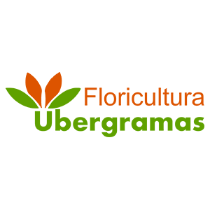 Floricultura - Ubergramas e Plantas Lopes