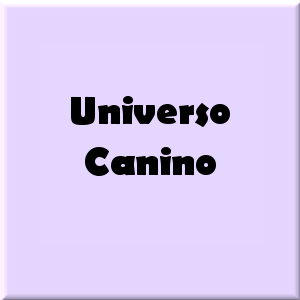Universo Canino - Clínica Veterinária e Pet Shop