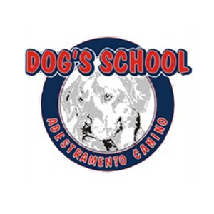 Dog´S School - Adestramento de Cães