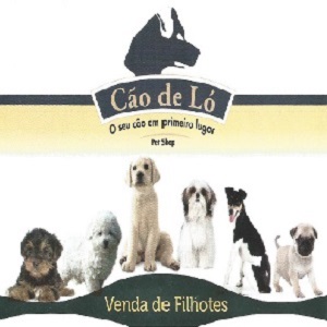 Cão de Ló - Pet Shop