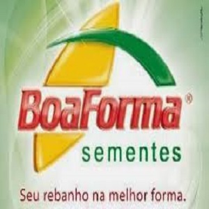 BOA FORMA SEMENTES