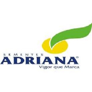 SEMENTES ADRIANA
