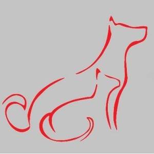 Clínica Veterinária Kanyl - Clínica e Cirúrgica