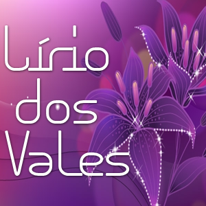 Lirio dos Vales Ornamentações-Decorações, Casamentos, Festas