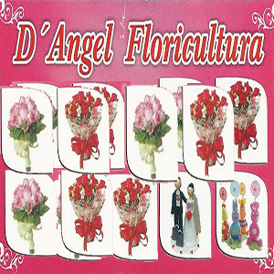 D´Angel Floricultura