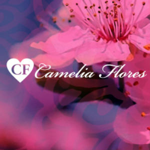 Camélia Flores - Floricultura Casamento Bodas 15 Anos Evento