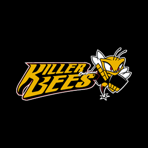 Academia Killer Bees - Muay Thai, Taekwondo, Boxe - Cabral