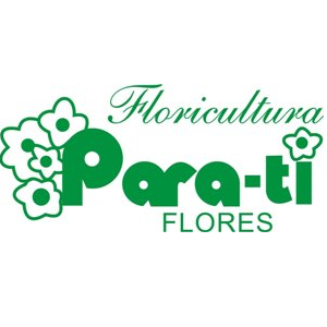 Floricultura Para-Ti Flores - Arranjos, Flores e Cestas