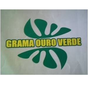 Grama Ouro Verde - Grama, Vasos, Frutíferas e Acessórios
