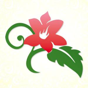 Plante Fácil - Paisagismo, Plantas e Acessórios