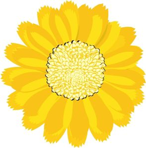Farmácia Homeopática São João - Alopática e Cosméticos