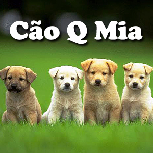 Cão q mia  Pet Shop - Banho e Tosa