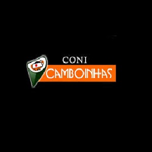 Temakeria Camboinhas - Coni e comida japonesa, yakisoba
