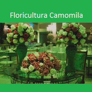 Floricultura Camomila: Deixando seu evento muito mais lindo!