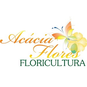 Acácia Flores
