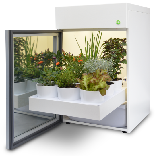Plantário