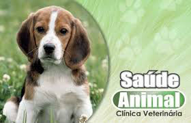 Espaço Saúde Animal - Clínica Veterinária