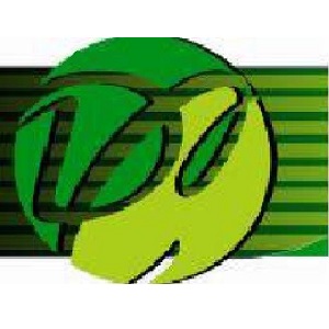 Dental Carrera