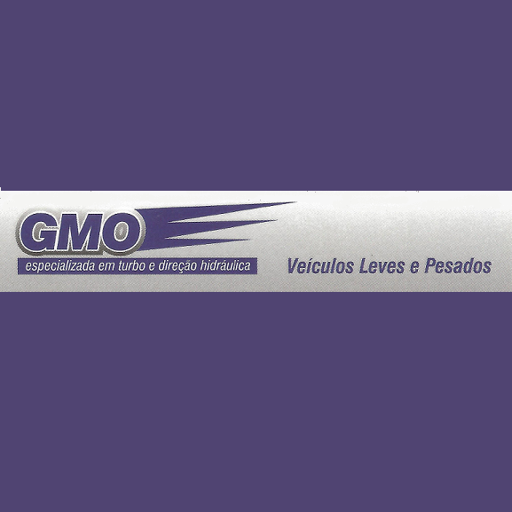 GMO - Especializada em Turbo e Direção Hidráulica