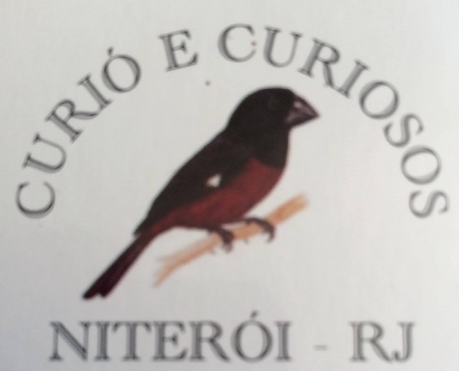 Curió e Curiosos