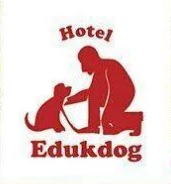 Adestramento e Hotel para cães é com a Edukdog