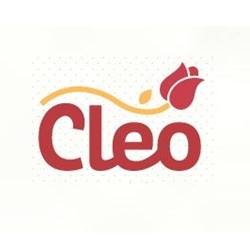 Cléo Eventos | O melhor espaço de festas