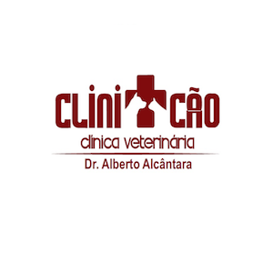 Dermatologista para Cachorro em Recife - Clinicão Center