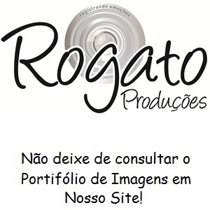 Rogato Produções - Foto e Vídeo