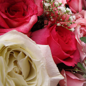 Floriculturas e Arranjos no Centro - A Roseiral Flores