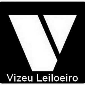 Vizeu Leiloeiro e Leilão Oficial em Valinhos