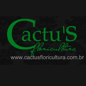 Cactus Floricultura