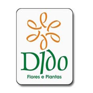 Dido Flores e Plantas - Floricultura