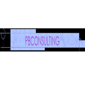 PBCONSULTING – Consultoria  a pessoas físicas e empresarial