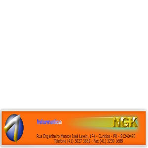 NGK Informática - Computador, hardware e software