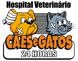 Hospital Veterinário Cães e Gatos - Clínica 24 Horas