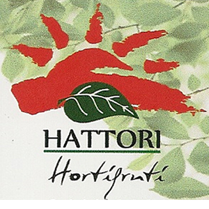 HATTORI HORTIFRUTI - Quitanda e Delivery
