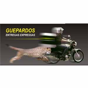 Guepardos Entregas Expressas