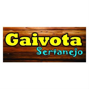 Gaivota Sertanejo - A melhor balada country da cidade