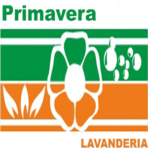 Lavanderia Primavera -Lavagem a seco, estofados e tingimento