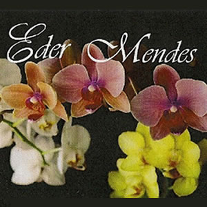EDER MENDES - Decorador e Designer de Arranjos Permanentes