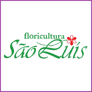 Floricultura São Luís