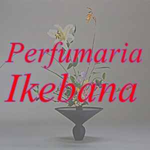 Perfumaria Ikebana - Cosméticos, Esmaltes, Tinturas - Taboão